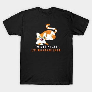 I'm not angry I'm quarantined T-Shirt